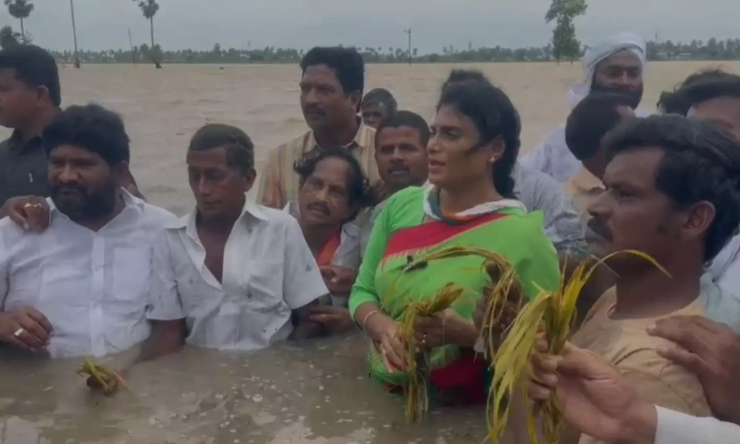 YS Sharmila Visits Flood Affected Areas