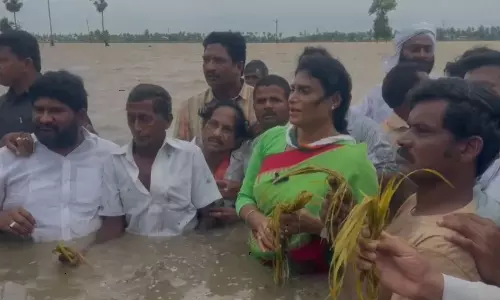YS Sharmila Visits Flood Affected Areas YS Sharmila Visits Flood Affected Areas