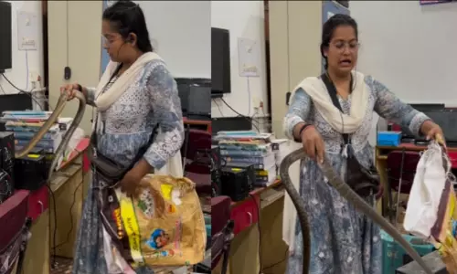 A Woman Catches Snake Video Goes Viral in Social Media A Woman Catches Snake Video Goes Viral in Social Media