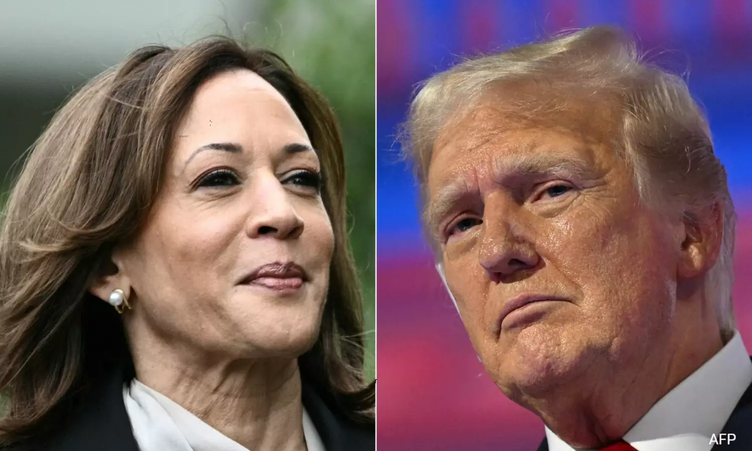 Kamala Harris Cuts Down Donald Trumps Lead