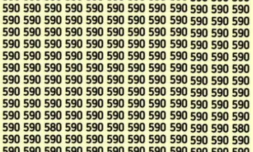 Optical Illusion: ఈ ఫోటోలో ‘580’ ఎక్కడుందో 5 సెకండ్లలో కనిపెట్టగలరా