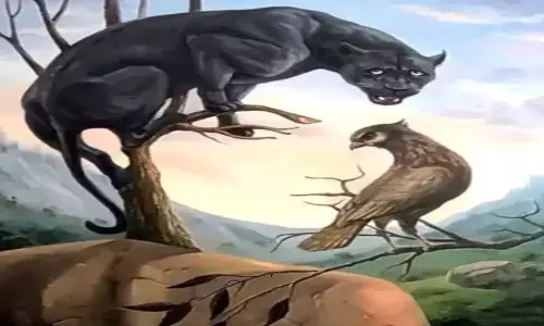 personality test what you see first in this photo can tell about your behavior