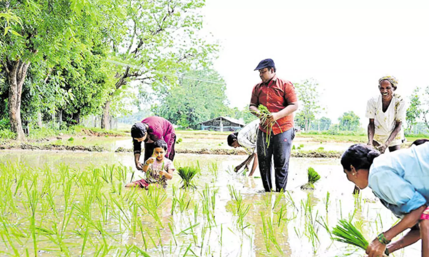 Medak District Collector Rahul Raj Turned As A Farmer