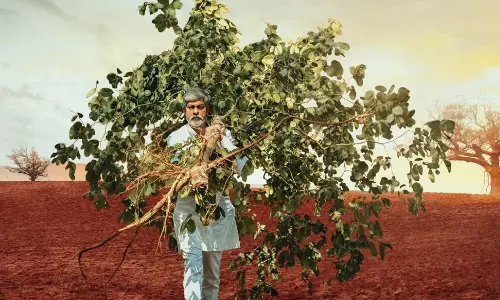 Take Selfie While Planting Trees and get Telugu Simmba Movie Ticket for Free