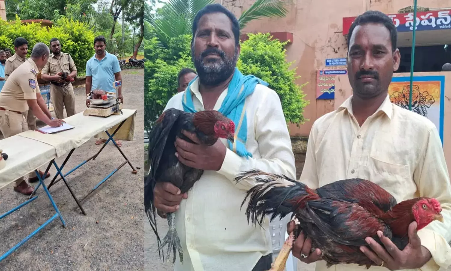 Kamanpur Police Auctions Two Cocks at Peddapalli District