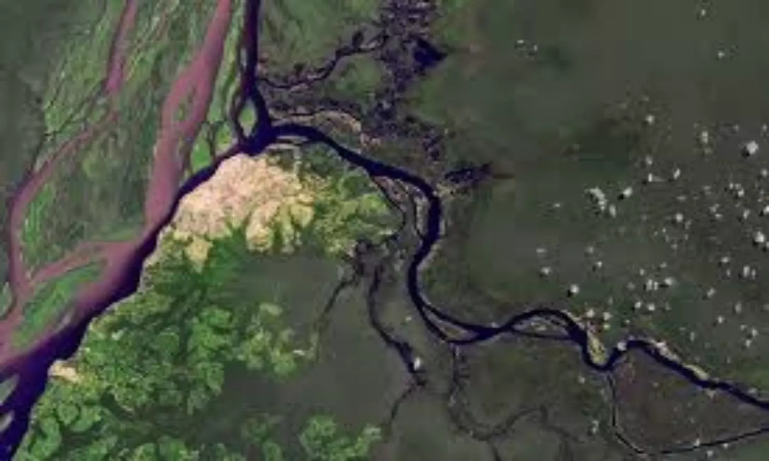 Black Ruki River Congo in Africa Called Darkest River in the World Check Here Reason Black Ruki River Congo in Africa Called Darkest River in the World Check Here Reason