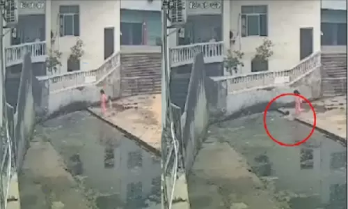 A Small Boy Fall Down Into Pool Video Goes Viral in Social Media