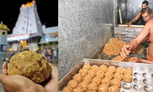 Devotees are happy about the quality of Tirumala Laddu Devotees are happy about the quality of Tirumala Laddu