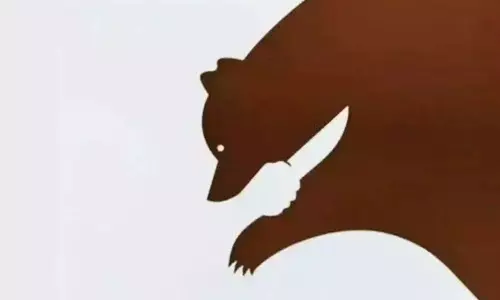 Optical Illusion Test Optical Illusion Test