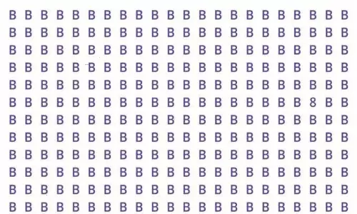 Can you find there is 8 number among the B letters in this optical illusion photo