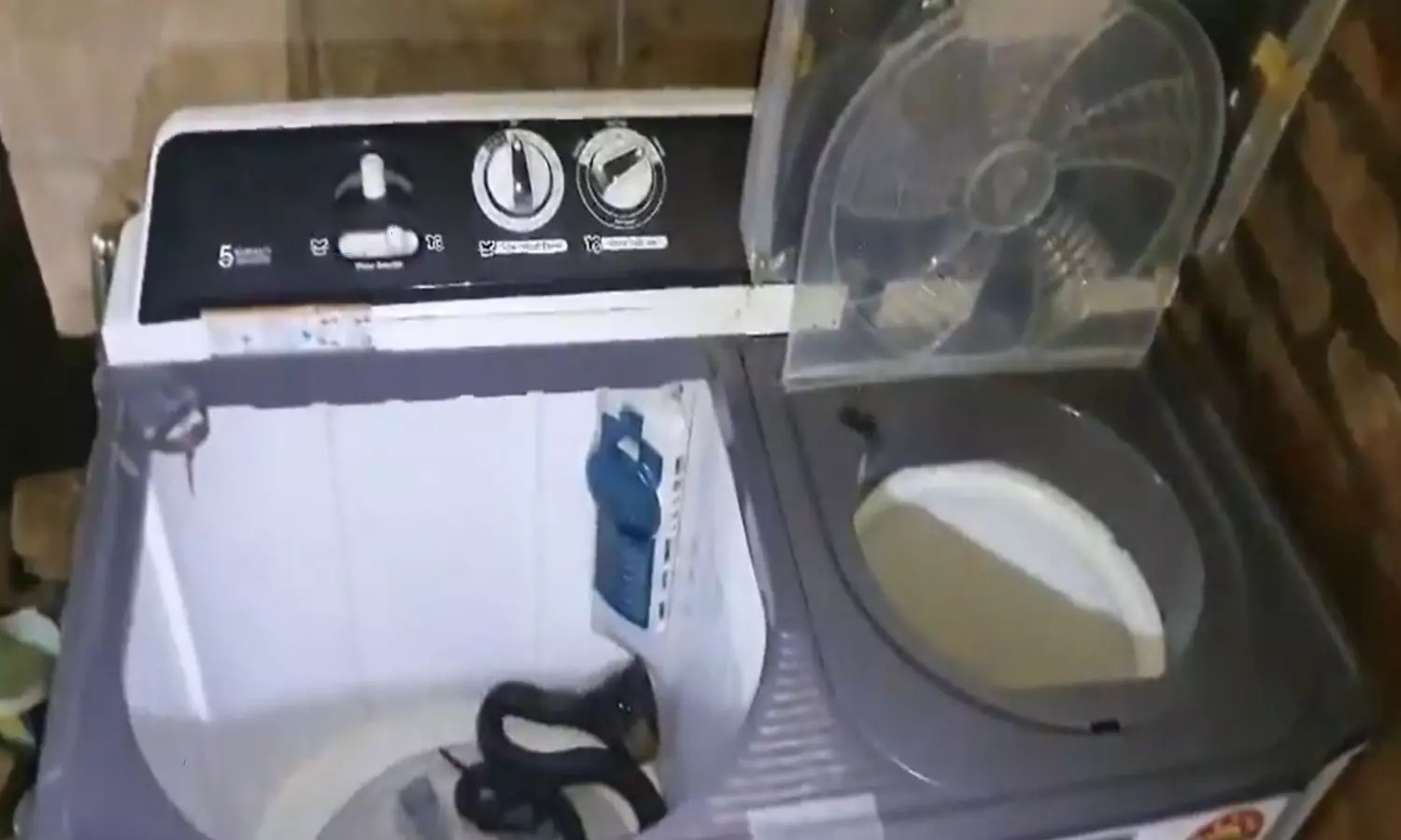 5 Feet snake spotted in washing machine video goes viral