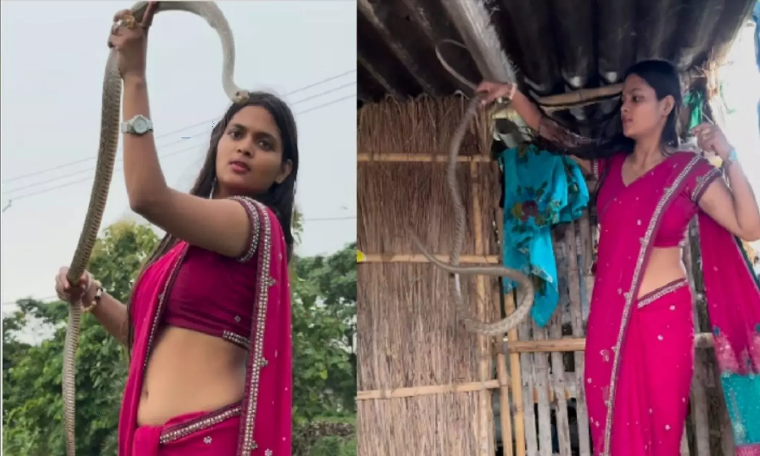 A beautiful woman catches snake video goes viral in social media