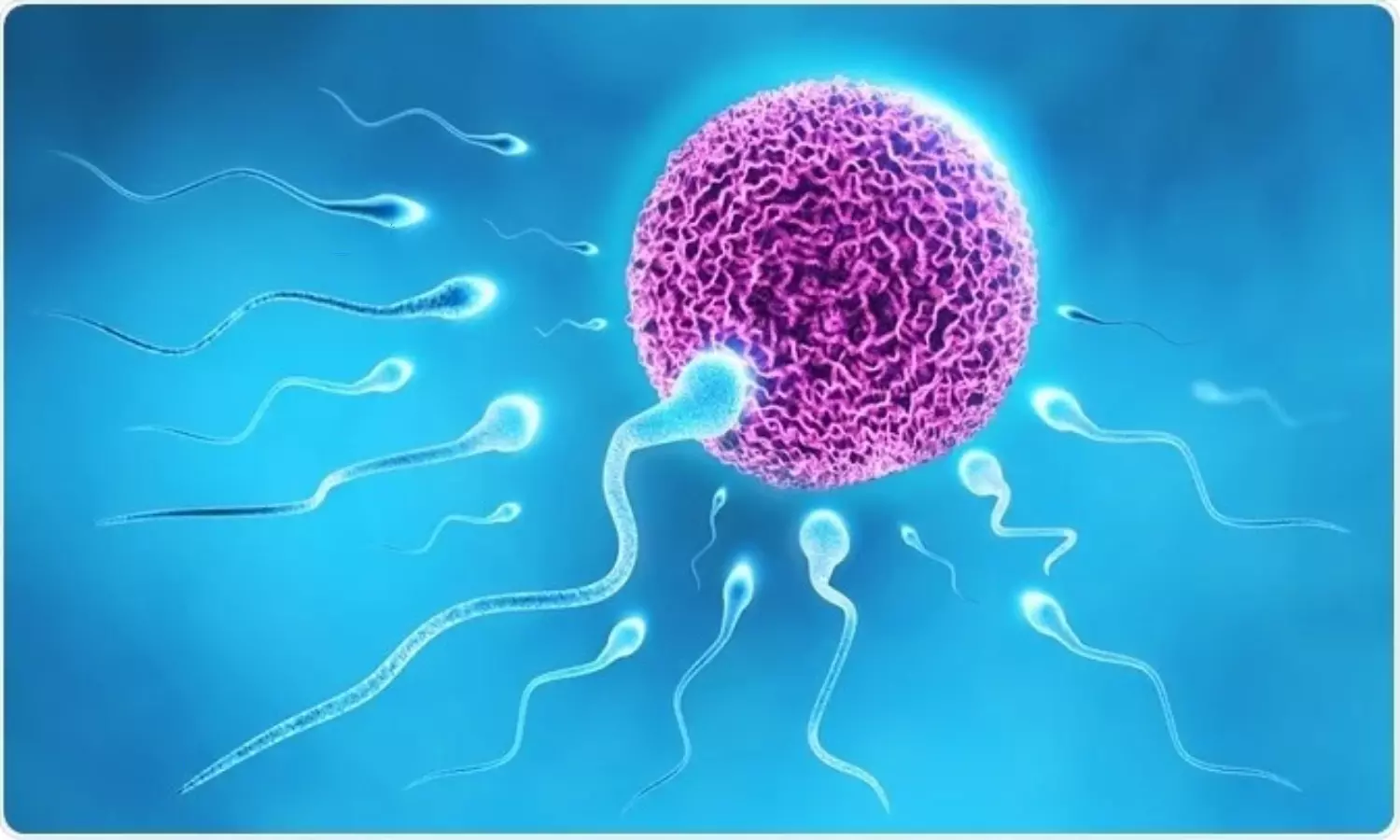 According to WHO This is The Normal Sperm Count for Men