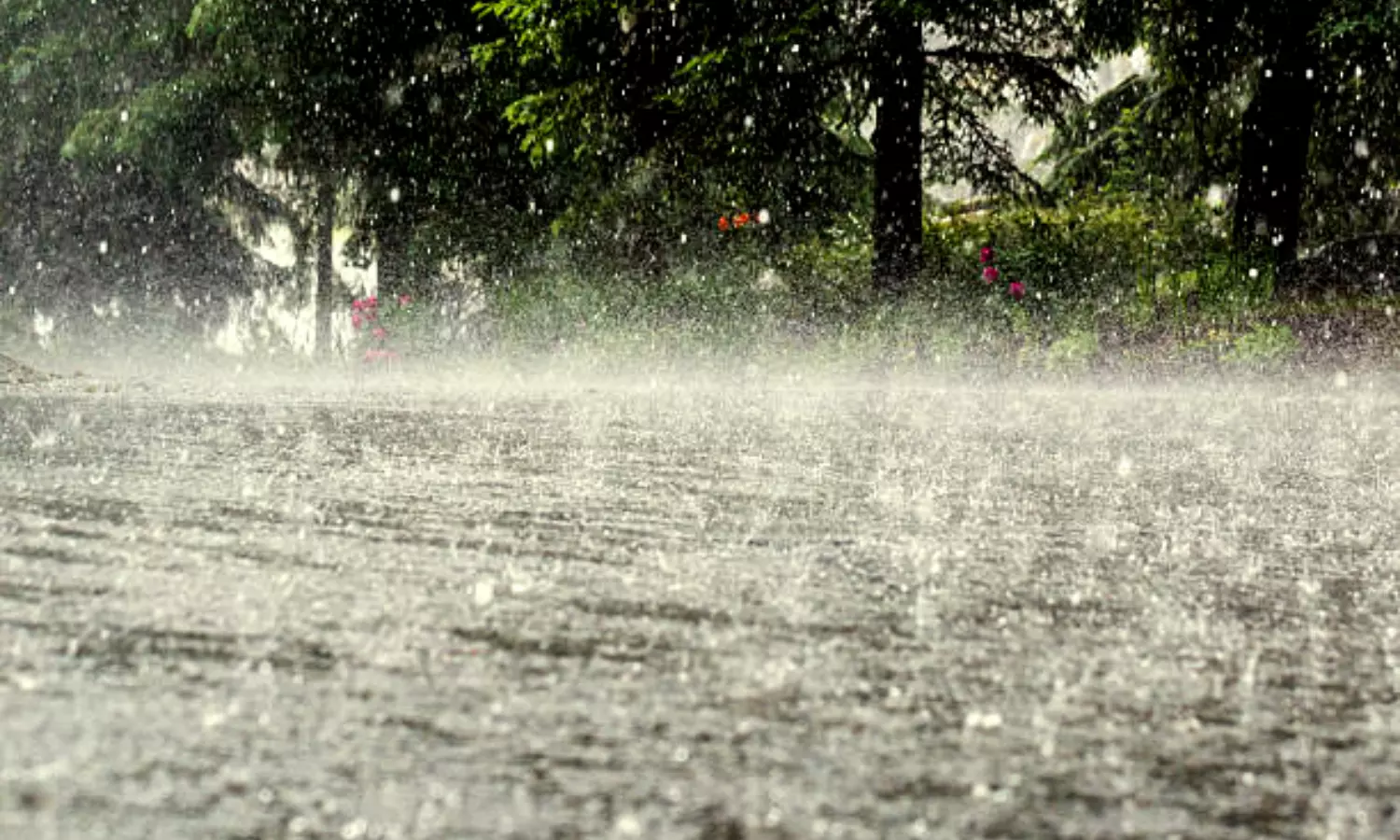 IMD Alert Heavy rain in many districts of Telangana including Hyderabad