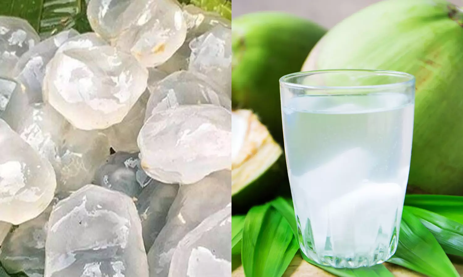 Benefits of Ice Apple If you eat palm fruit, you will get nutrients in 10 glasses of coconut water