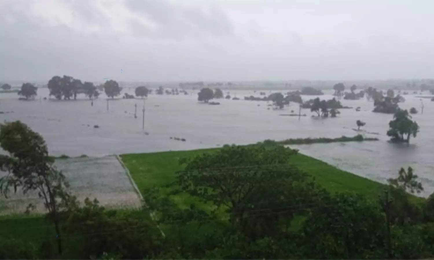 Heavy Rains in Telangana Red Alert to Hyderabad