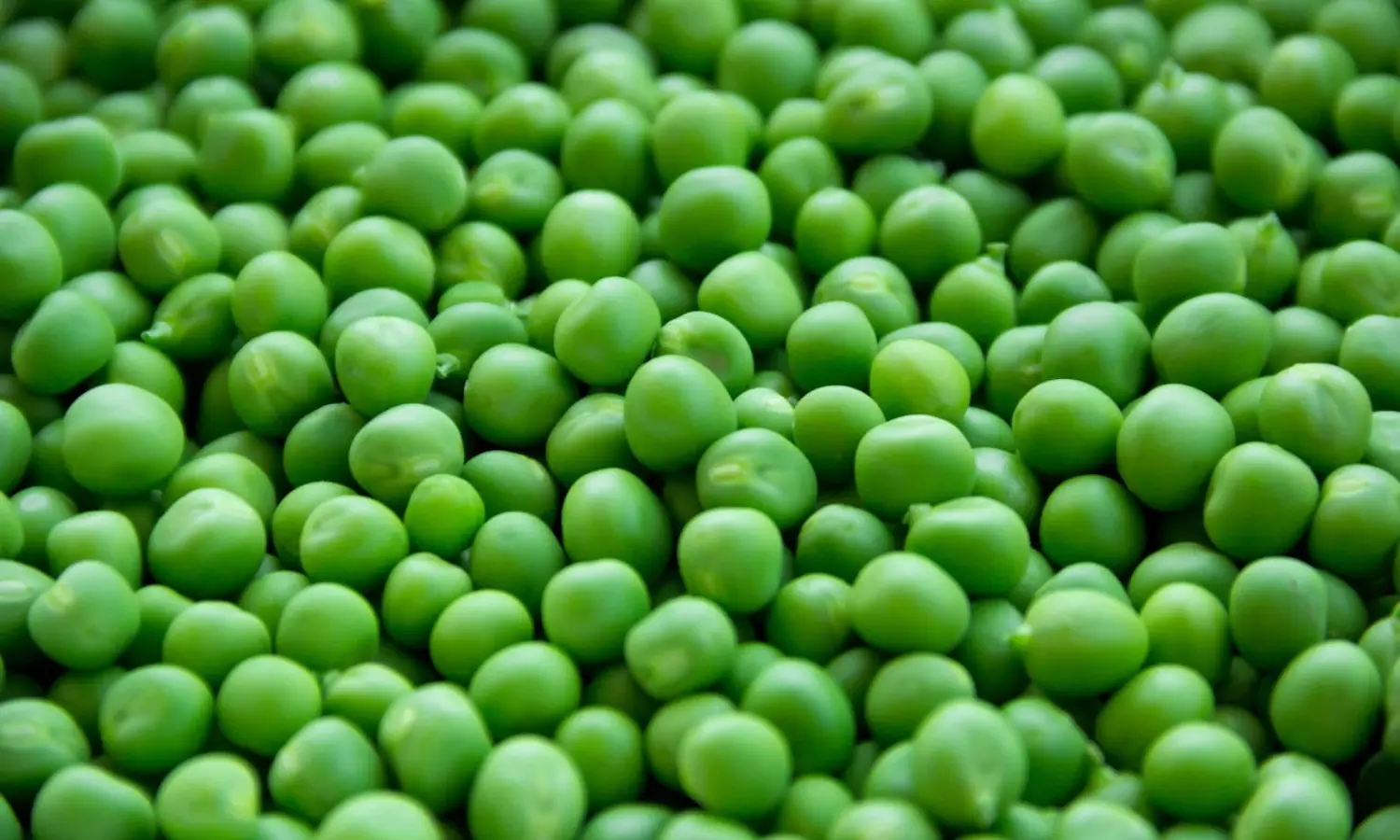 Health Benefits of Green Peas are reduced from sugar to heart diseases