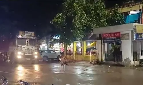 A man sitting on a chair middle of the road video goes viral