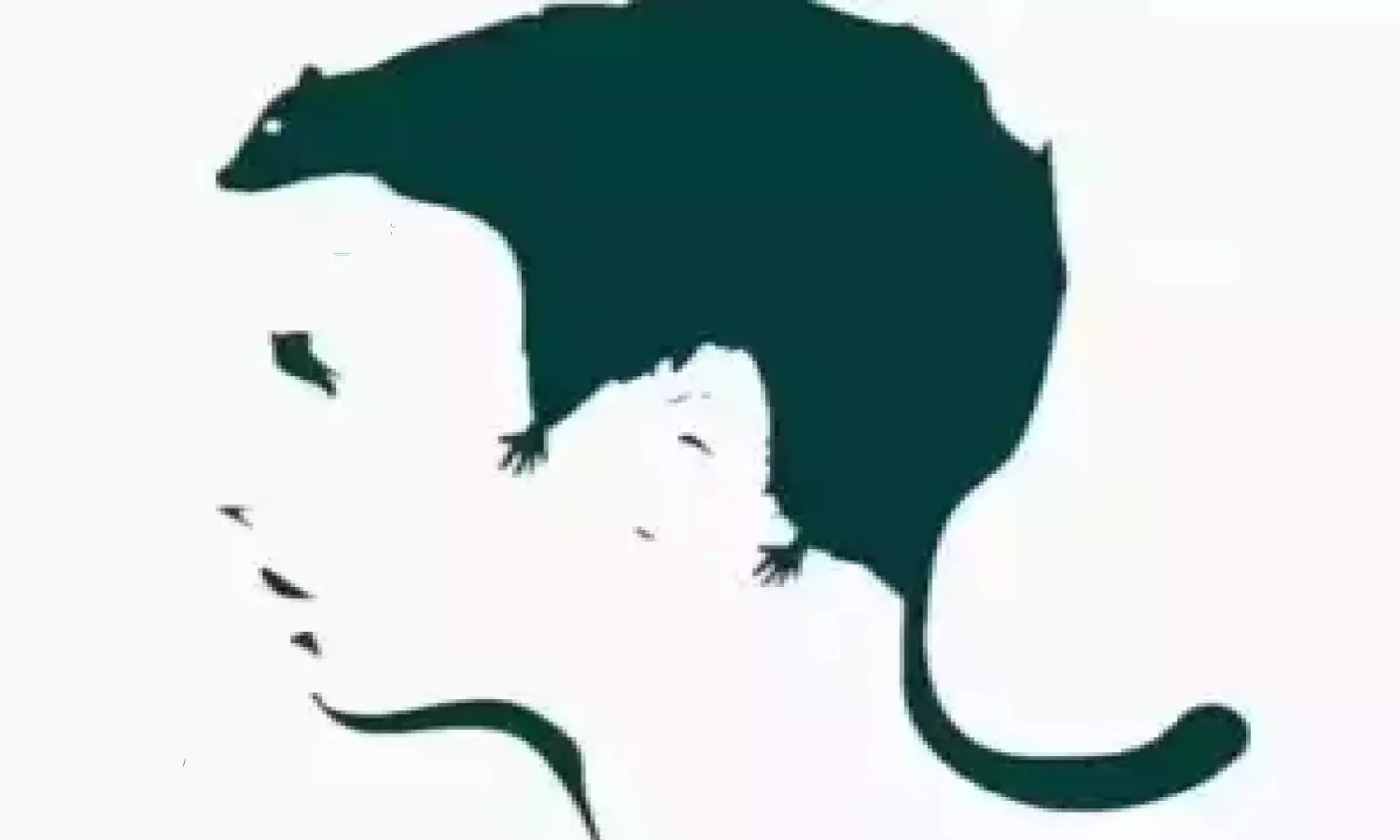 Optical Illusion: మీరు ఎలాంటి వారో ఈ ఫొటో చెప్తుంది.. సరిగ్గా గమనించండి