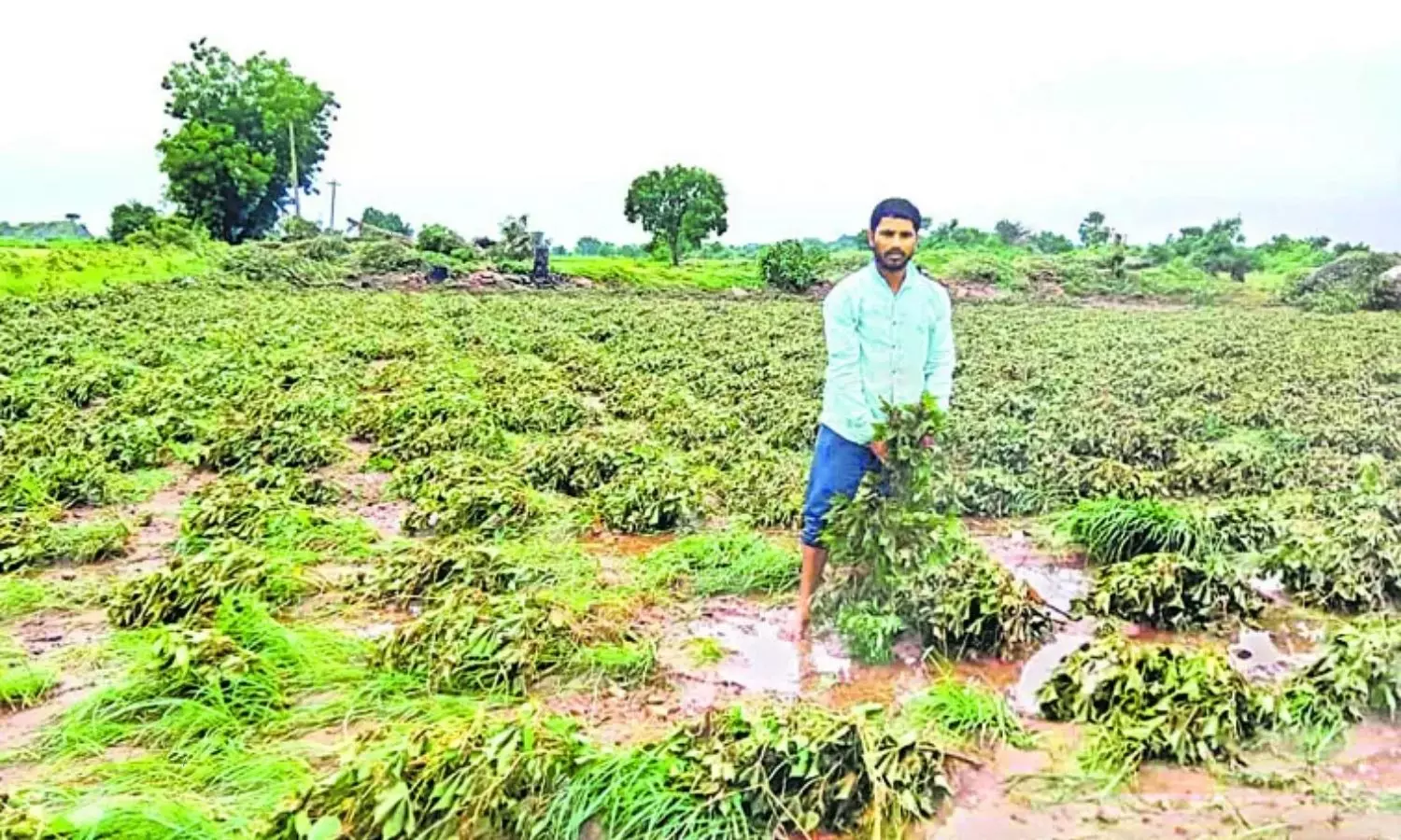 Farmers have lost a lot due to floods in AP