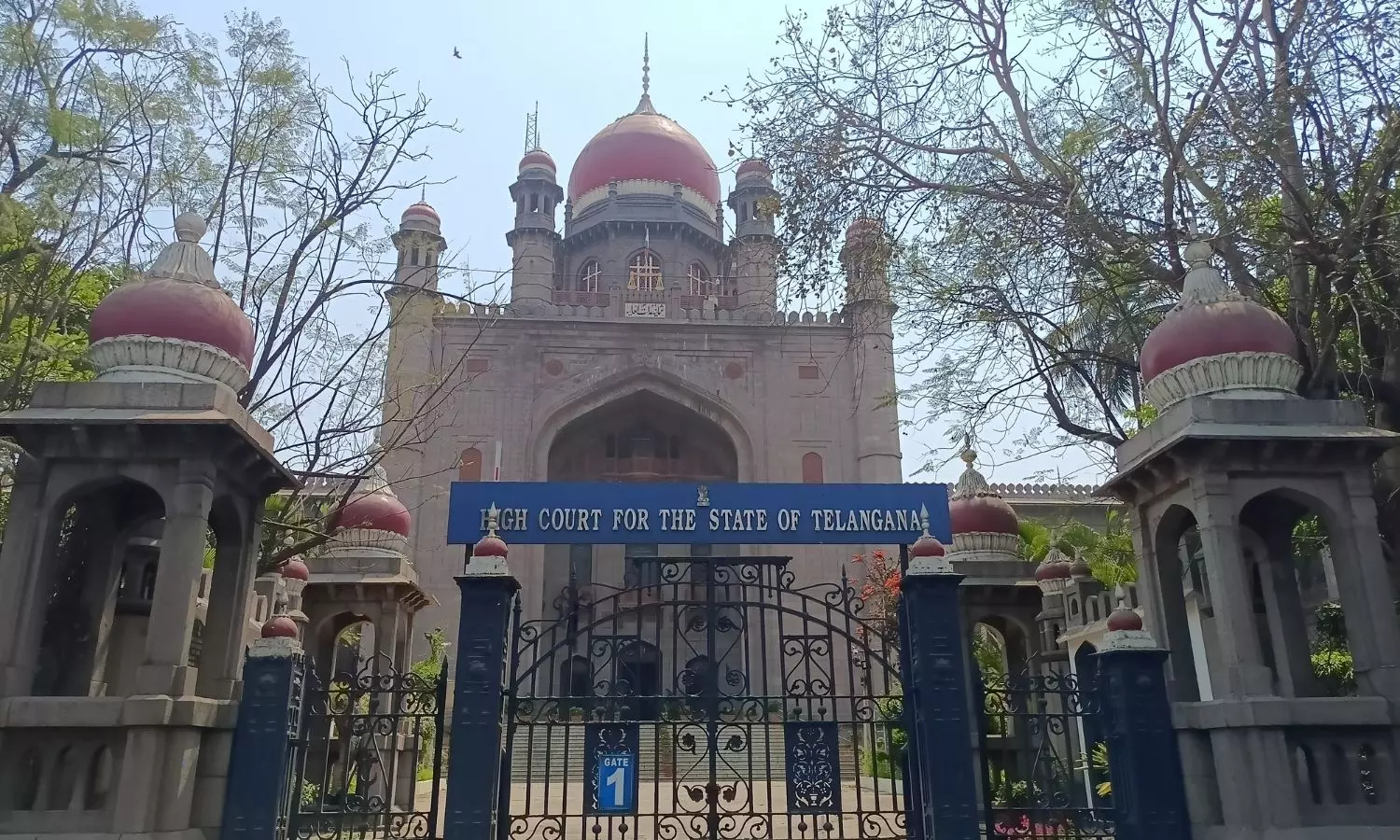 Relief to Government in Telangana High Court