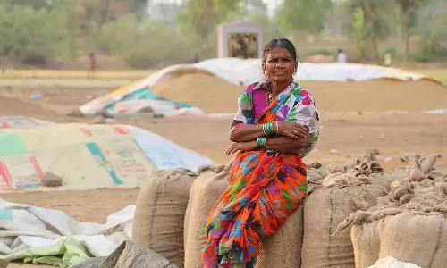 My Village Show Gangavva Assets and Investments