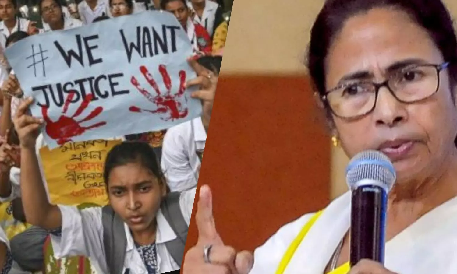 Mamata Banerjee Video: ఇదే ఆఖరి ప్రయత్నంగా చెబుతున్నా.. డాక్టర్లతో మమతా బెనర్జి కీలక వ్యాఖ్యలు