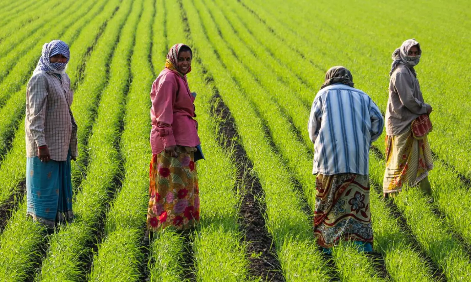 Deposit of money in the account of tenant farmers of Amaravati