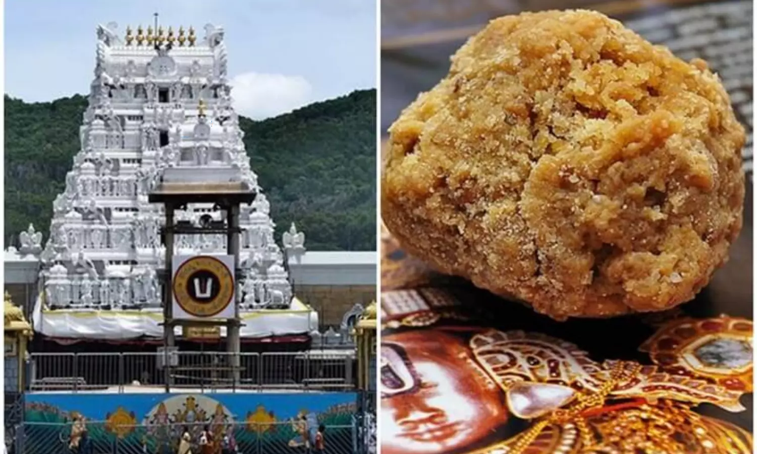 Tirupati Laddu Controversy Here are Ten Points