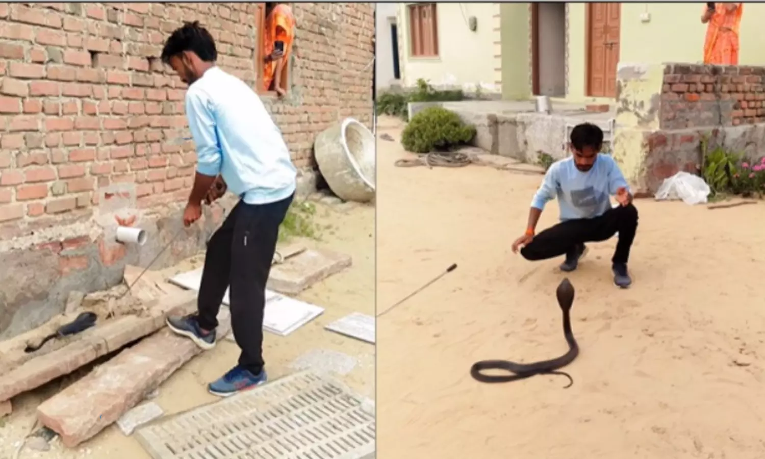 A snake catcher caught snake with brave video goes viral in social media