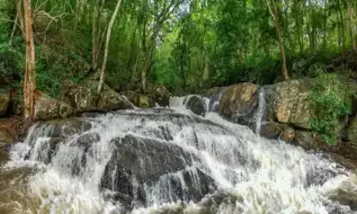 Alluri District Alluri District