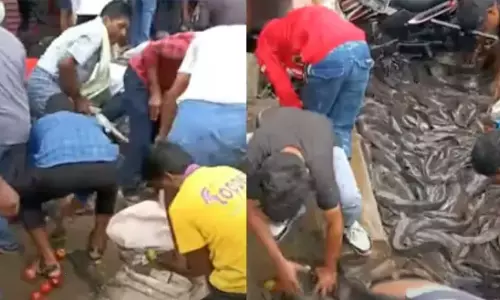 Live Fish Lorry Overturned In Mahabubabad Maripeda Live Fish Lorry Overturned In Mahabubabad Maripeda