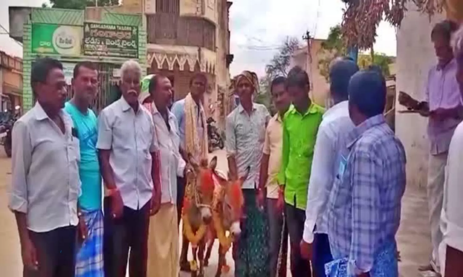 Donkeys Marriage for Rains in Satya Sai District