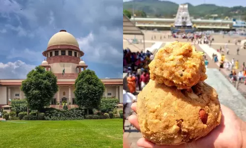 Supreme Court hearing on TTD Laddu dispute Supreme Court hearing on TTD Laddu dispute