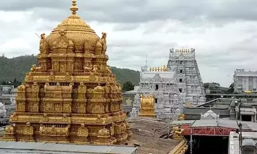 TTD Security Lapse Tamil Nadu Devotees Caught in Tirumala with Egg Curry and Pulav