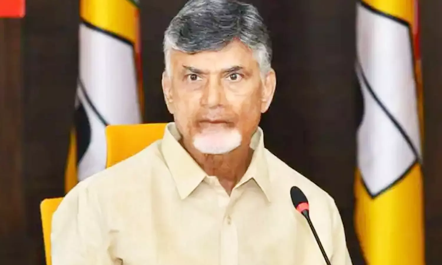 విశాఖ స్టీల్ ప్లాంట్ కు శాశ్వత పరిష్కారం చూపాలి: చంద్రబాబు