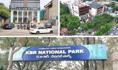 Removal of Tree Near KBR National Park