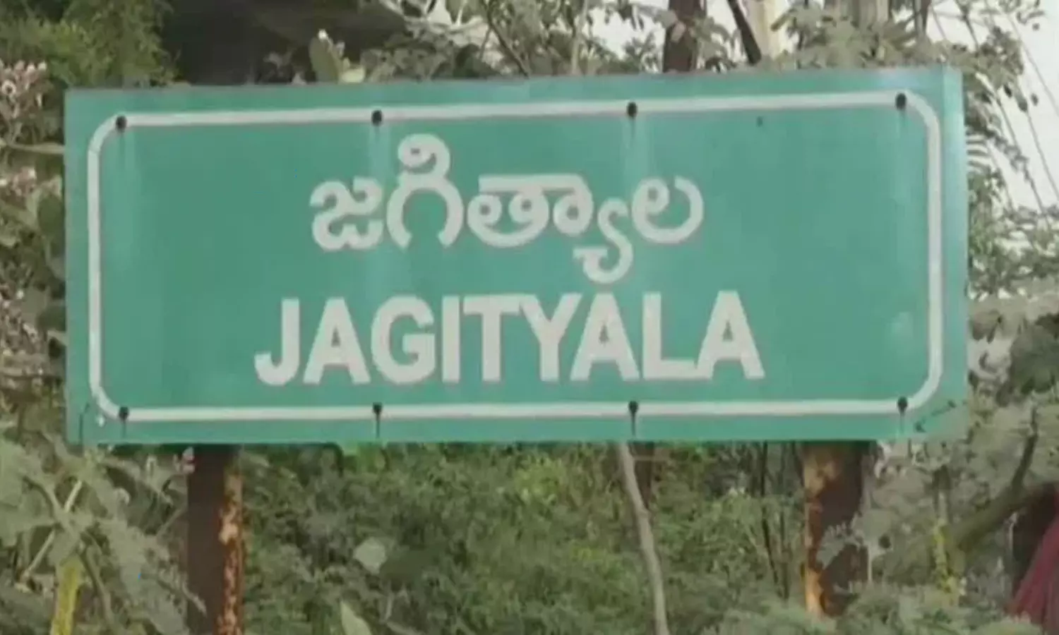 Jagityala: ఫారెస్ట్ ఆఫీసులో.. ఉద్యోగుల దావత్..!