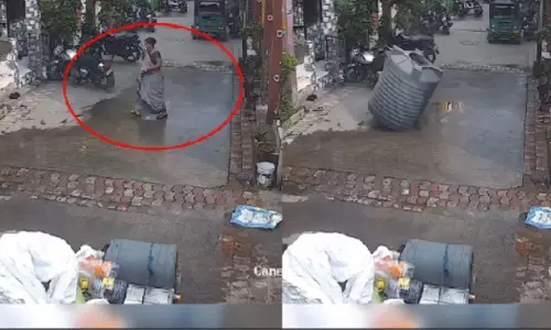 Viral Video Viral Video