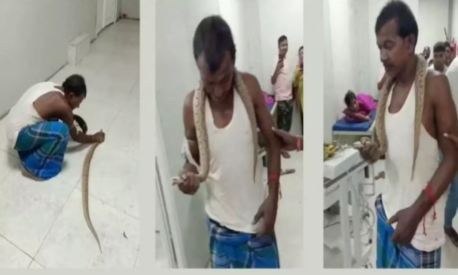 Bitten By Snake Man Walks Into Bihar Hospital With Snake