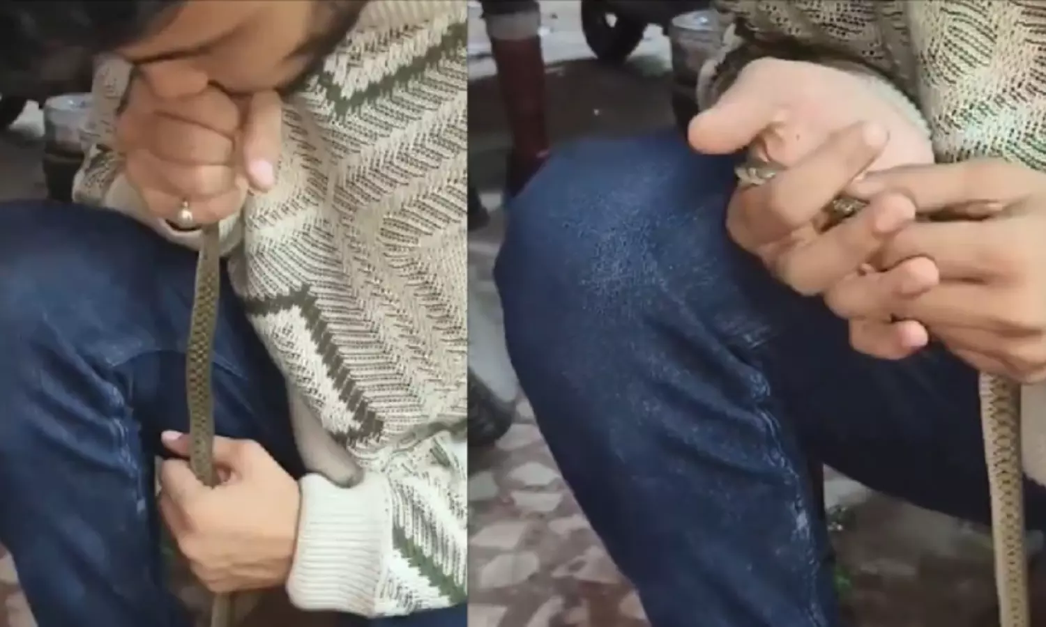 A Young Man Saves Snake Life by Doing CPR Video Goes Viral