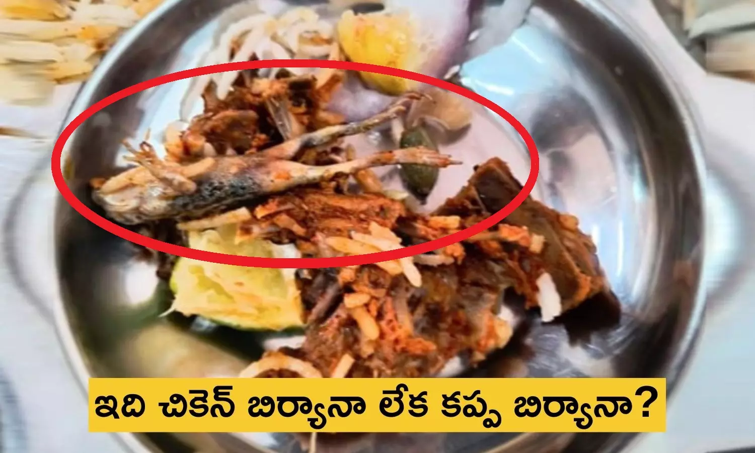 Frog In Chicken Biryani: చికెన్ బిర్యానీలో కప్ప.. హాస్టల్ మెస్‌లో విద్యార్థులకు చేదు అనుభవం