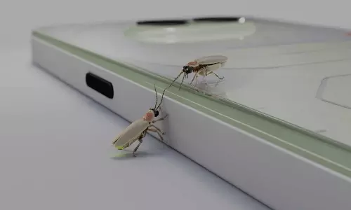 Nothing Phone 2a Plus Community Edition Nothing Phone 2a Plus Community Edition