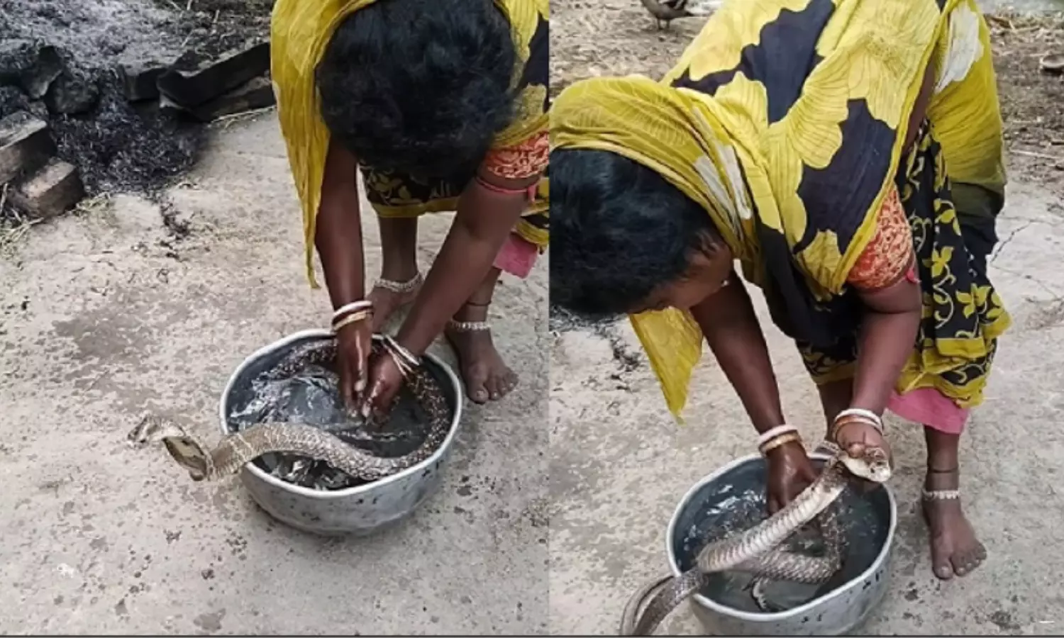 A Women do Shower to Snake Video Goes Viral in Social Media