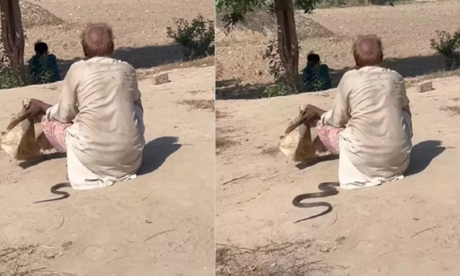 Snake Enter Into Old Man Legs Video Goes Viral in Social Media