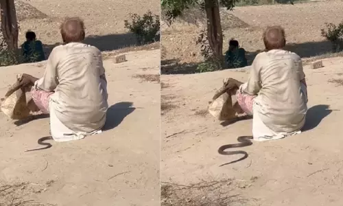 Snake Enter Into Old Man Legs Video Goes Viral in Social Media Snake Enter Into Old Man Legs Video Goes Viral in Social Media