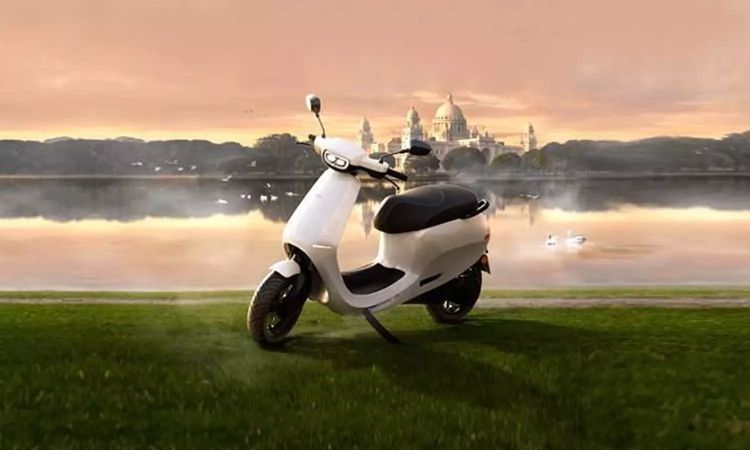 Top Selling Electric Scooter