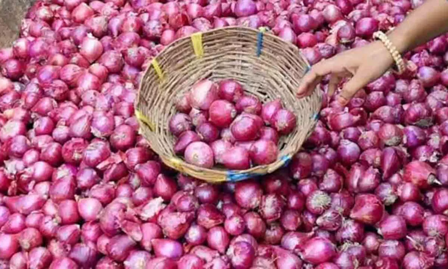 Central Government Decision to Reduce Onion Price