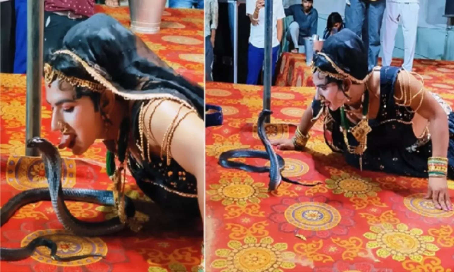 A Women Dance and Kiss Snake Video Goes Viral in Social Media