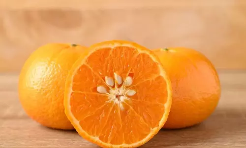 Health: ఆరెంజ్ గింజలను పడేస్తున్నారా? ఇది తెలిస్తే ఇకపై అలా చేయరు Health: ఆరెంజ్ గింజలను పడేస్తున్నారా? ఇది తెలిస్తే ఇకపై అలా చేయరు